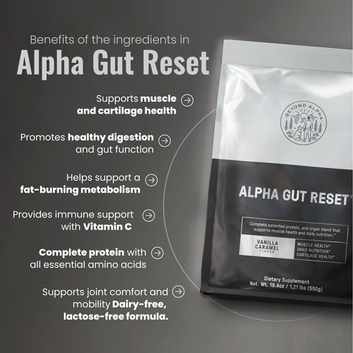 Alpha Gut Reset™ – beyondalphak